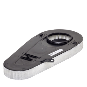 Cartuccia filtro aria Cartuccia filtro aria