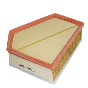 Cartuccia filtro aria Cartuccia filtro aria