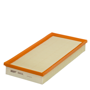 Cartuccia filtro aria Cartuccia filtro aria