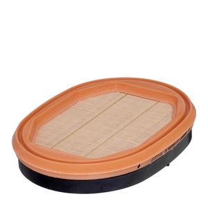 Secondary Air Filter Secondary Air Filter