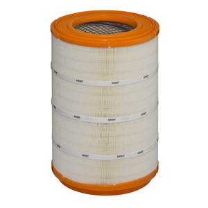 Cartuccia filtro aria Cartuccia filtro aria