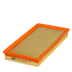 Cartuccia filtro aria Cartuccia filtro aria