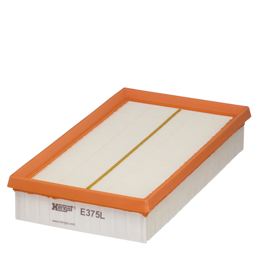 Cartuccia filtro aria Cartuccia filtro aria