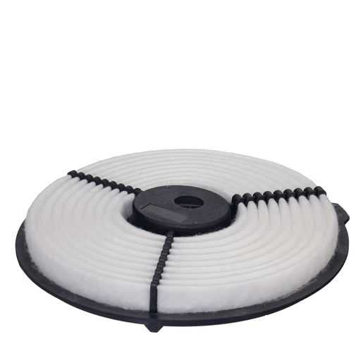 Cartuccia filtro aria Cartuccia filtro aria